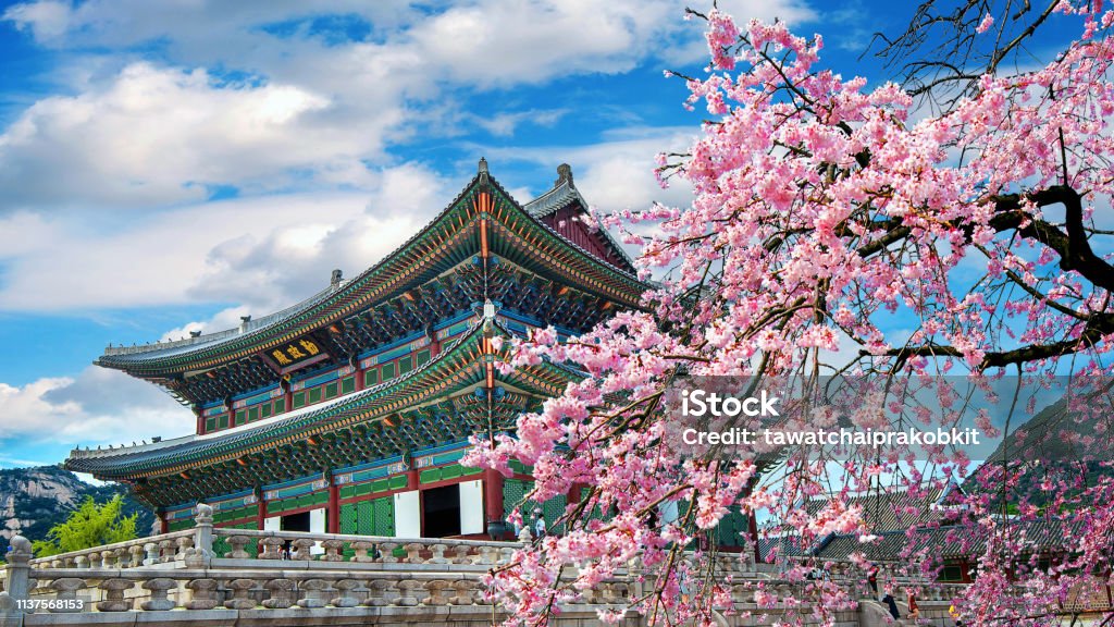 Korean Culture